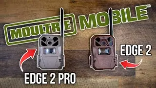 BEST NEW CELL CAMS 2024 - Moultrie Edge 2 / Edge 2 Pro Full Review
