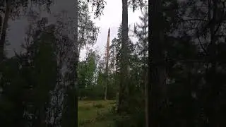 ураган#03.06.24