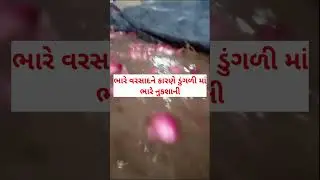 ભારે વરસાદ ને કારણે માર્કેટ યાર્ડ માં ડૂંગળી તણાઈ|મોટા ભાગની ડૂંગળી ને ભારે નુક્શાન|today news#short