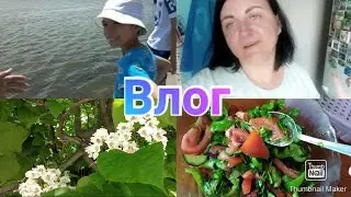 Первые заготовки / Прогулка по Набережной в Ростове-на-Дону / Влог