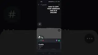 How to copy your username and user ID on discord