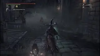 Bloodborne. ПВП Часть 1
