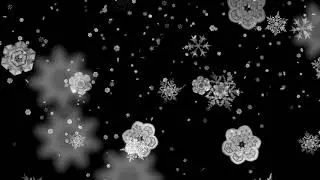 Snow Snowflakes Falling Effect Black Screen / Snowflake Overlay ( Free Footage )