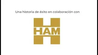 Grupo HAM Webfleet