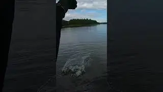 Пройоб! В мене таке часто буває.