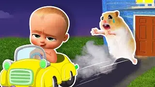 Baby Boss, I'm Sorry! Please Come Back Home! Hamster Pretend play Takes Care Baby Boss