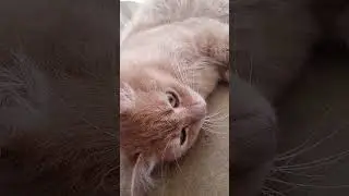 Счастливого Вторника .