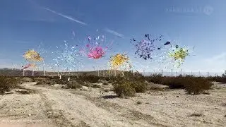 Desert X Biennial 2019: Nancy Baker Cahill