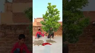 Tree magic VFX video 