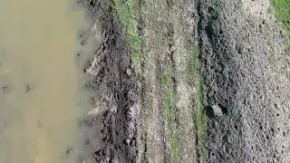 24-04-22 #4 No Fence Wetlands Drone Flight Over Plantings Down Center Between Ponds to View Success.