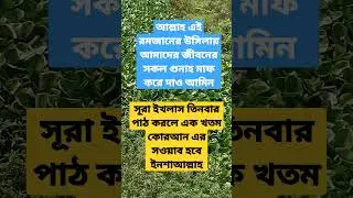 সূরা#ইখলাস#তিনবার#পাঠ#করলে#এক#খতম#কোরআনের#সাওয়াব#হবে#ইনশাআল্লাহ#tg#village