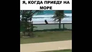 когда я приеду на море
