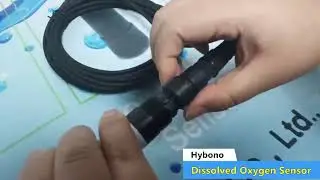 Dissolved Oxygen Sensor