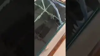 хочу жрать