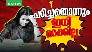 പഠിച്ചതൊന്നും ഇനി മറക്കില്ല..! | Xylem Plus Two Commerce