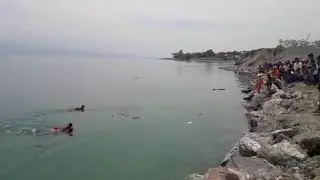 Tim Penyelam dari Basarnas Di duga Korban Sunami Palu