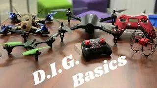D.I.G. Introduction