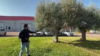 Nplus Olive Machine: easy to operate #nplus