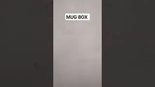 SIDE & CENTER WINDOW MUG BOX 