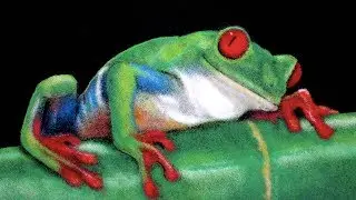 Tree Frog - Salt Art