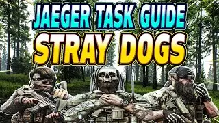 Stray Dogs - Jaeger Task Guide - Escape From Tarkov