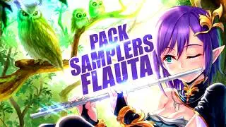PACK SAMPLERS DE FLAUTA - PONTOS DE FUNK - ACID PRO - FL STUDIO - FAVELA BEAT