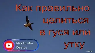 №118 Как целиться в летящего гуся и утку / Новые супервидео Shotkam / Охота на гуся 2022