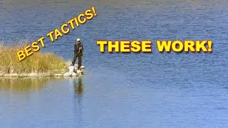 Urban Pond Bass Fishing: Mastering Pressured Waters with Expert Tips | Bass Fishing