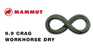 9.9 Crag Workhorse Dry