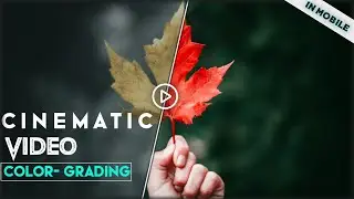 🔥 Moody or Cinematic VIDEO color grading |  in MOBILE |