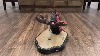 Rock lobster (singing lobster)