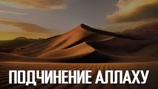 Подчинение Аллаху | Али Султанов
