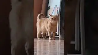когда тебя реально кто то зае@@@ 🤣🤣🤣