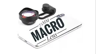 Pholes / Ulanzi 75mm 10x Macro Phone Lens Review & Samples Using Realme2pro