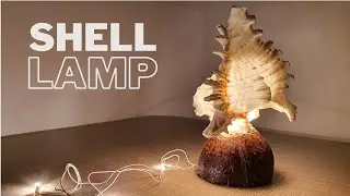 Sea Shell Lamp With Coconut Base