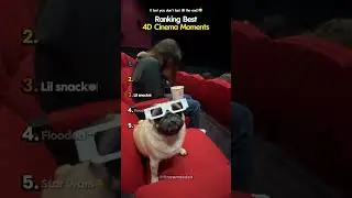 Ranking Best 4D Cinema Moments 😮🔥