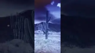 RDR2 || Frame Stutter Issue (for reddit)
