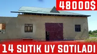 Уй сотилади 14 сутик уй сотилади