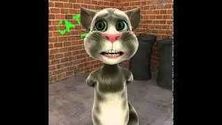 Cracker ass cracker.avi