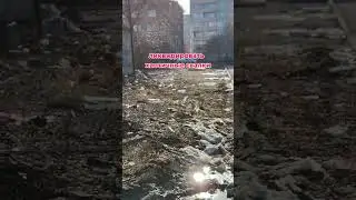 Пожелания новому мэру Новосибирска 