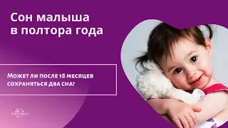 Могут ли после 18 месяцев сохраняться 2 сна?