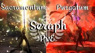 Seraph Optimized PvE guide | Sacramentum + Purgatum | Highest DPS Combo