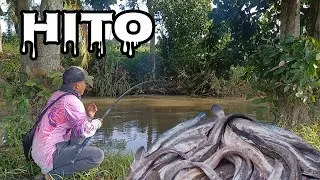 NAGLIPA NA NAMAN MGA HITO SA ILOG ANG DAMI NILA!