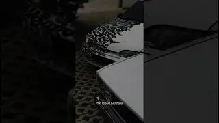 Убери красную кнопочку🥺🙏🏽 инст: _killakillaz_ 