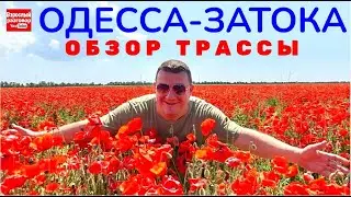 Затока 2021 Едем на море через МАКОВОЕ ПОЛЕ / Автопутешествие на YouTube канале Взрослый разговор