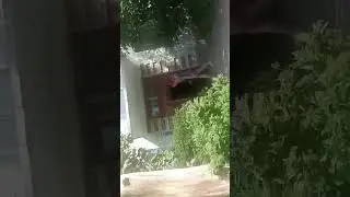#безтрусов
