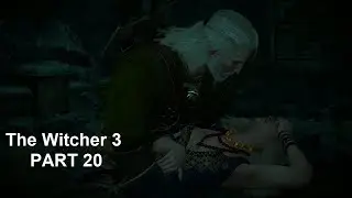 The Witcher 3 Next Gen Part 20 Blind Playthrough