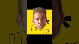 птички летят гачи ремикс. 