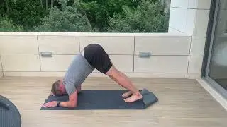 Dolphin mobility drill