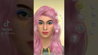 Pan Pride Flag as a sim 